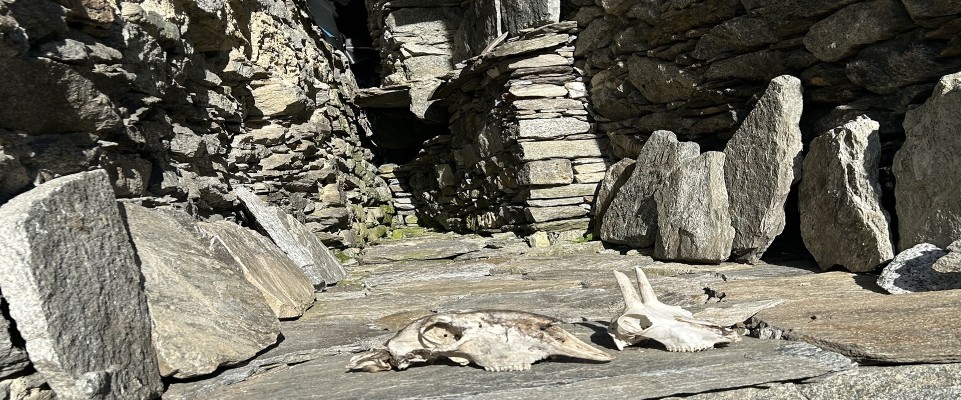 SALECCHIO: IL BORGO SOSPESO